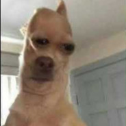 bolsacc