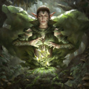 Nissa