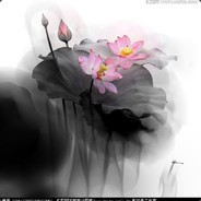 12058267