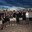 Group Avatar