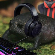 Cawnathon