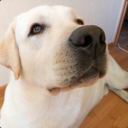 h1kS