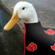 DuckLiss
