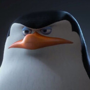 Skipper