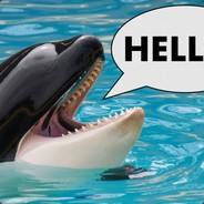 jonesythewhale