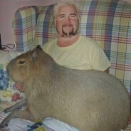 stattrak capybara