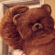Bungle