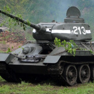 Wild T-34