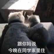 白夜