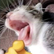Koropok_Banana