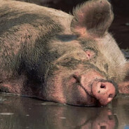 Аватар сообщества Steam