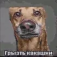 Андрей санстрайк