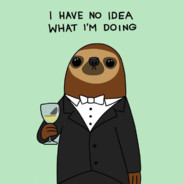 MR Sloth