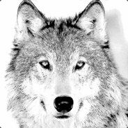 Thewolfcatman