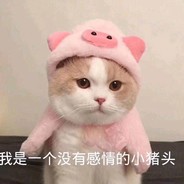 zzzz你后面