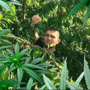 вечно накуренный