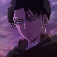 Levi
