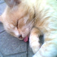 <W>