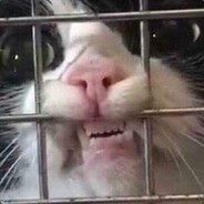 Я-ТЯ-ТРАХНУ