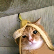 MeMeBxqlシ