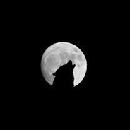dark night