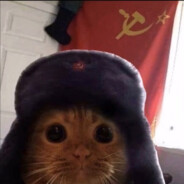 hello, it's me
