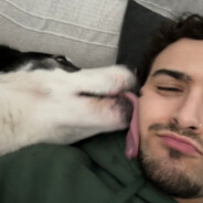 Lagartitoo_