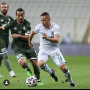 esecez nalepa