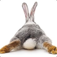 rØbbit
