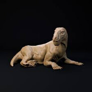 Inostrancevia Latifons