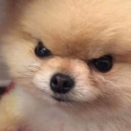 mäk