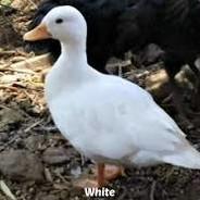 giv_me_bred_:)