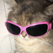 moti