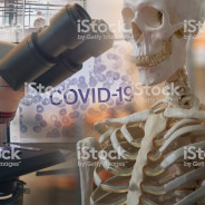 BONEVID-19