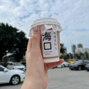 崔东山啊