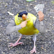 normal_babishguy