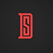 DS-Leader pvpro.com