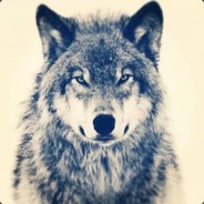Alpha Wolf