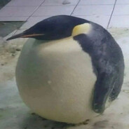 grubypingwin ♥♥♥♥♥♥♥♥♥♥