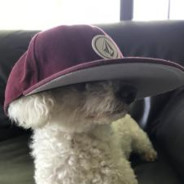 Hampy