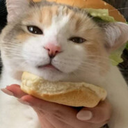 Я Каб