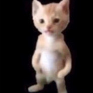 Kat