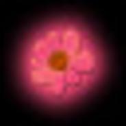 Heliotropism