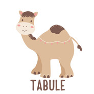 TABULE-SGT-NX .★