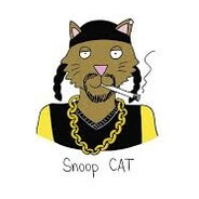 Snoop-Cat