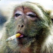 any