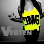 VerteN404 *******
