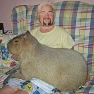 Captain Potato