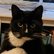 Ɓlìtzø.cc