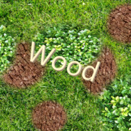 Wood